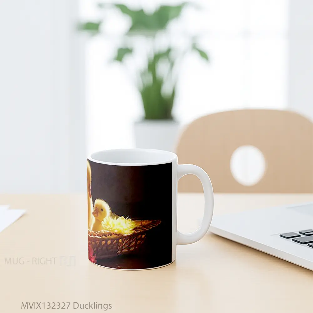 Mug Ducklings Gelas Keramik Unik - All-side / Desain