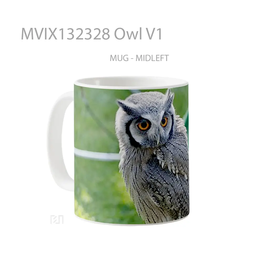 Mug Owl V1 Gelas Hewan Lucu - All-side / Desain