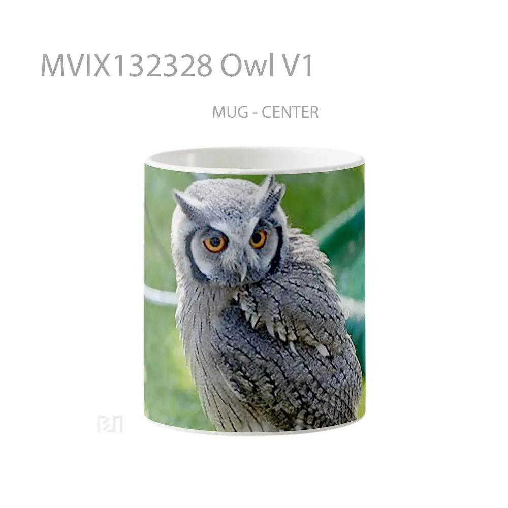 Mug Owl V1 Gelas Hewan Lucu