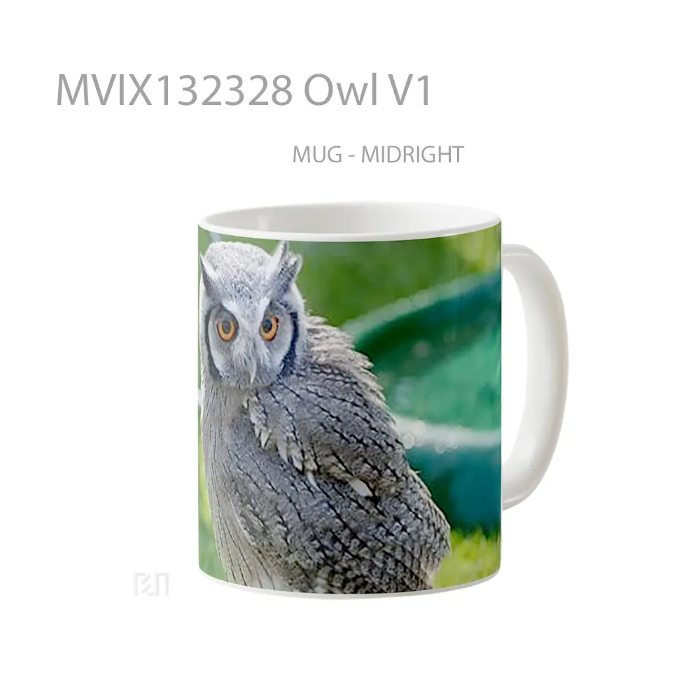 Mug Owl V1 Gelas Hewan Lucu - All-side / Desain