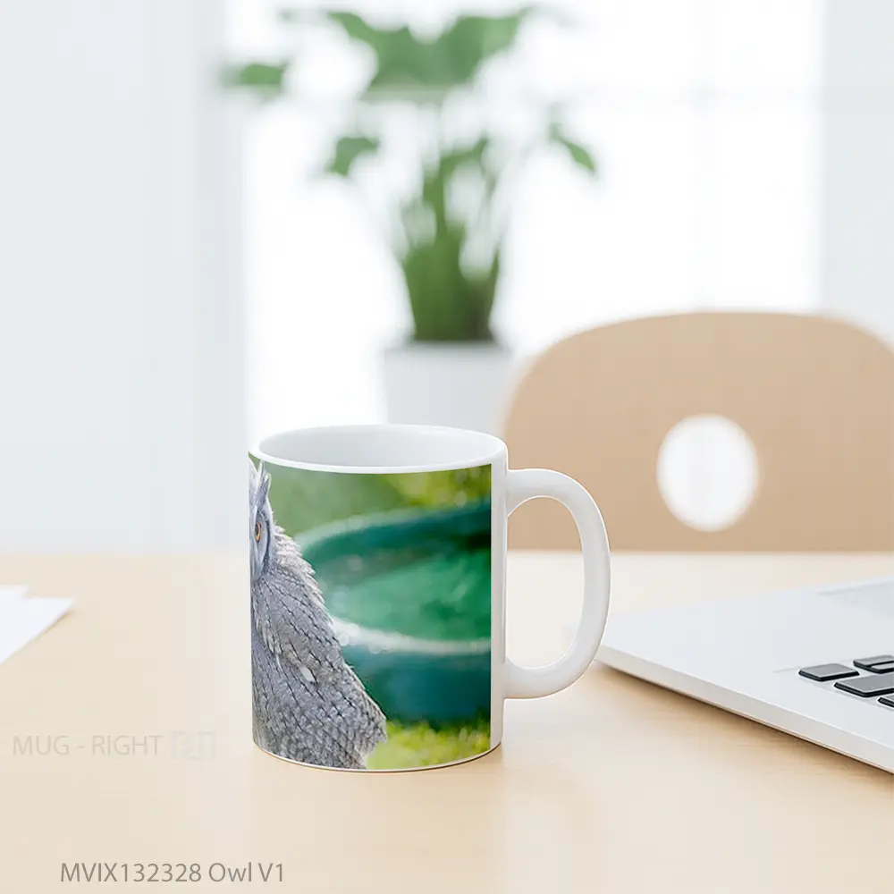 Mug Owl V1 Gelas Hewan Lucu - All-side / Desain