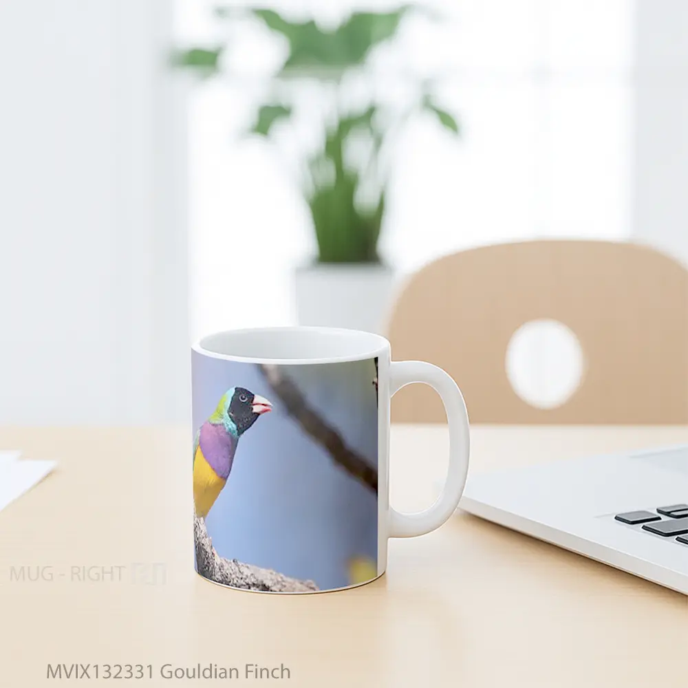 Mug Gouldian Finch Gelas Keramik Unik - All-side / Desain