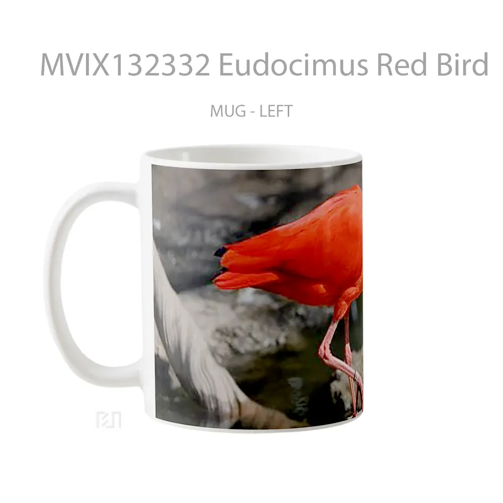 Mug Eudocimus Red Bird Gelas Hewan Lucu - All-side / Desain