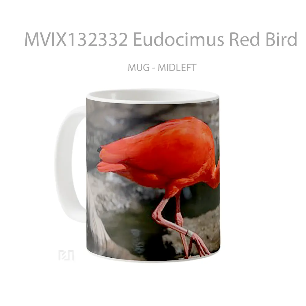 Mug Eudocimus Red Bird Gelas Hewan Lucu - All-side / Desain