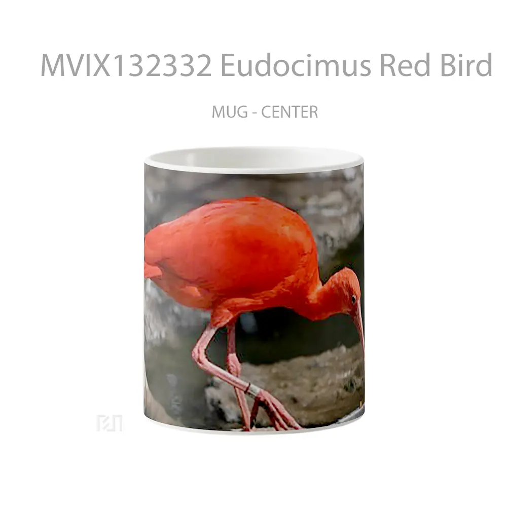 Mug Eudocimus Red Bird Gelas Hewan Lucu
