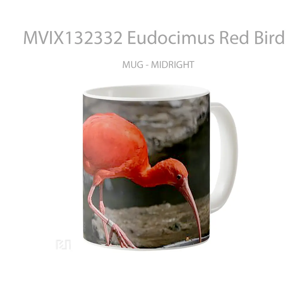 Mug Eudocimus Red Bird Gelas Hewan Lucu - All-side / Desain