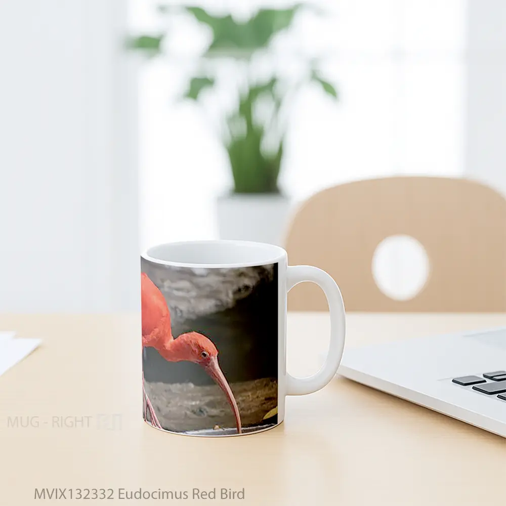 Mug Eudocimus Red Bird Gelas Hewan Lucu - All-side / Desain