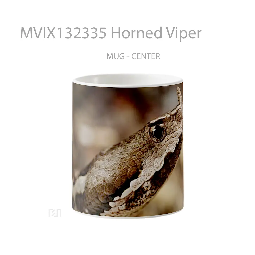 Mug Horned Viper Gelas Keramik Unik