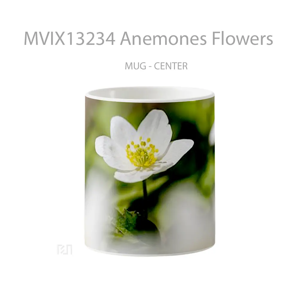 Mug Anemones Flowers Gelas Pemandangan Alam