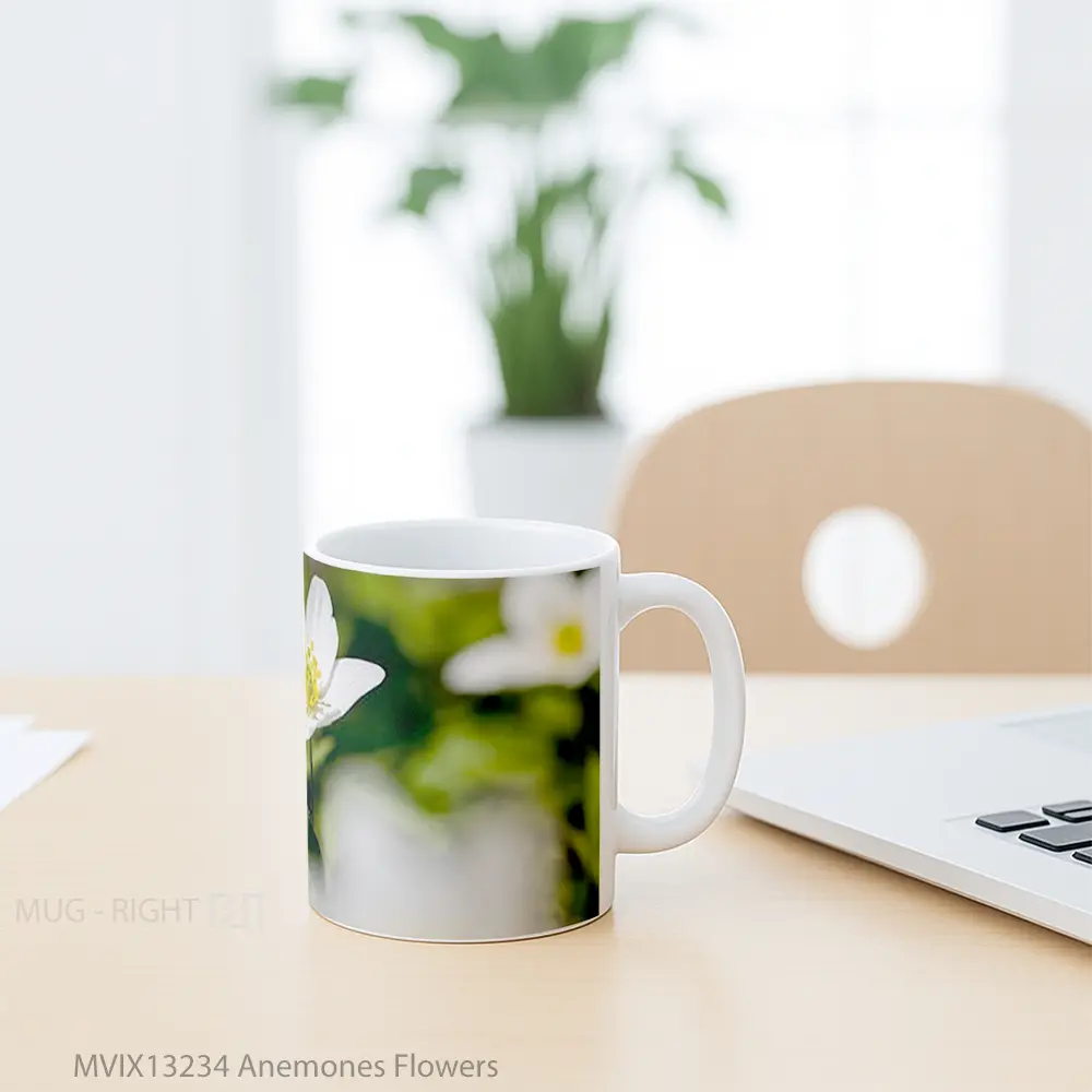 Mug Anemones Flowers Gelas Pemandangan Alam - All-side / Desain