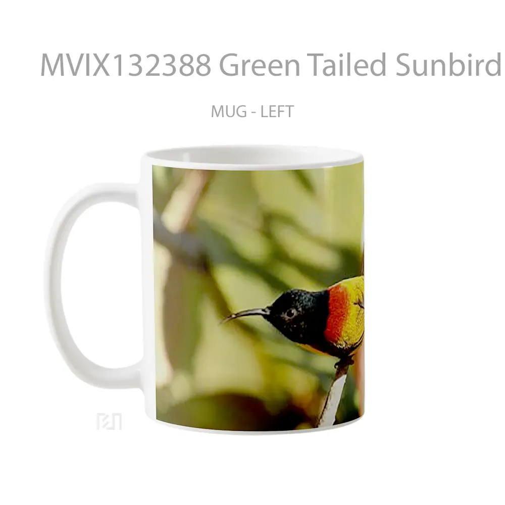 Mug Green Tailed Sunbird Gelas Keramik Unik - All-side / Desain