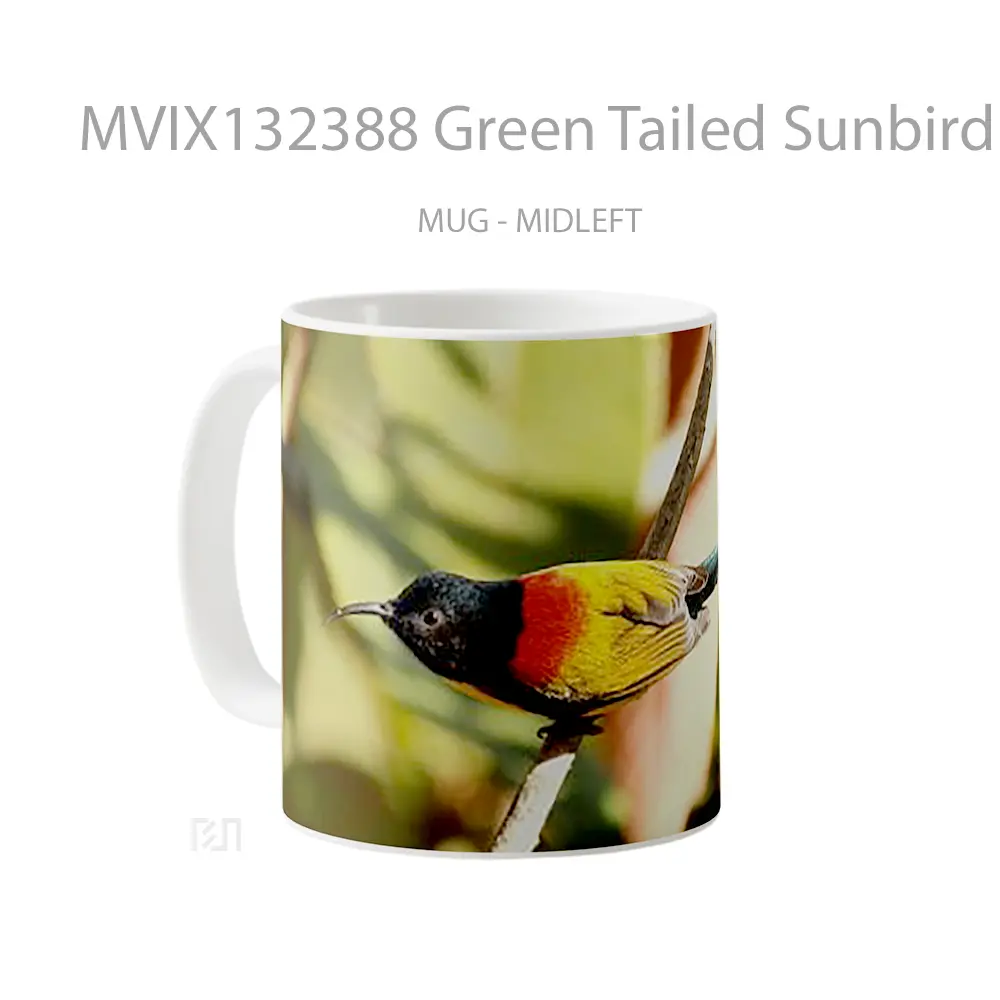 Mug Green Tailed Sunbird Gelas Keramik Unik - All-side / Desain