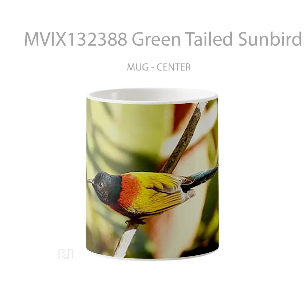 Mug Green Tailed Sunbird Gelas Keramik Unik