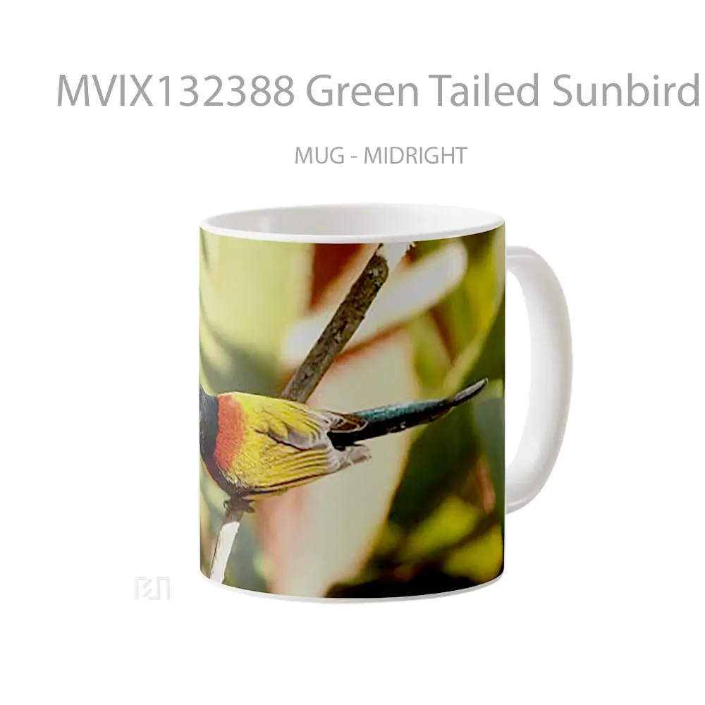 Mug Green Tailed Sunbird Gelas Keramik Unik - All-side / Desain
