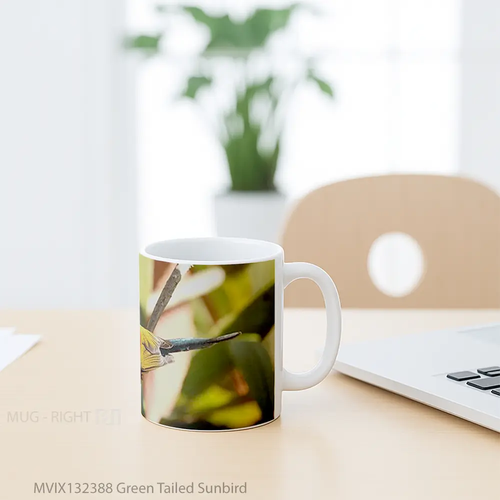 Mug Green Tailed Sunbird Gelas Keramik Unik - All-side / Desain
