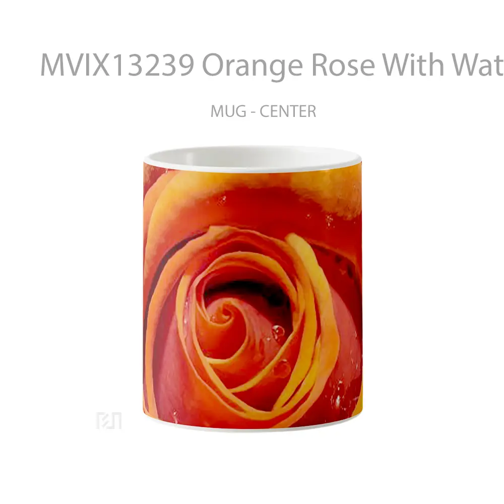 Mug Orange Rose With Water Drops Gelas Pemandangan Alam