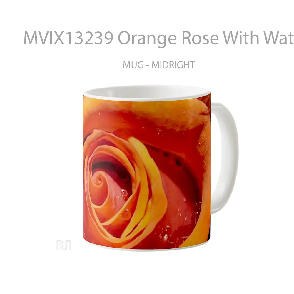 Mug Orange Rose With Water Drops Gelas Pemandangan Alam - All-side / Desain