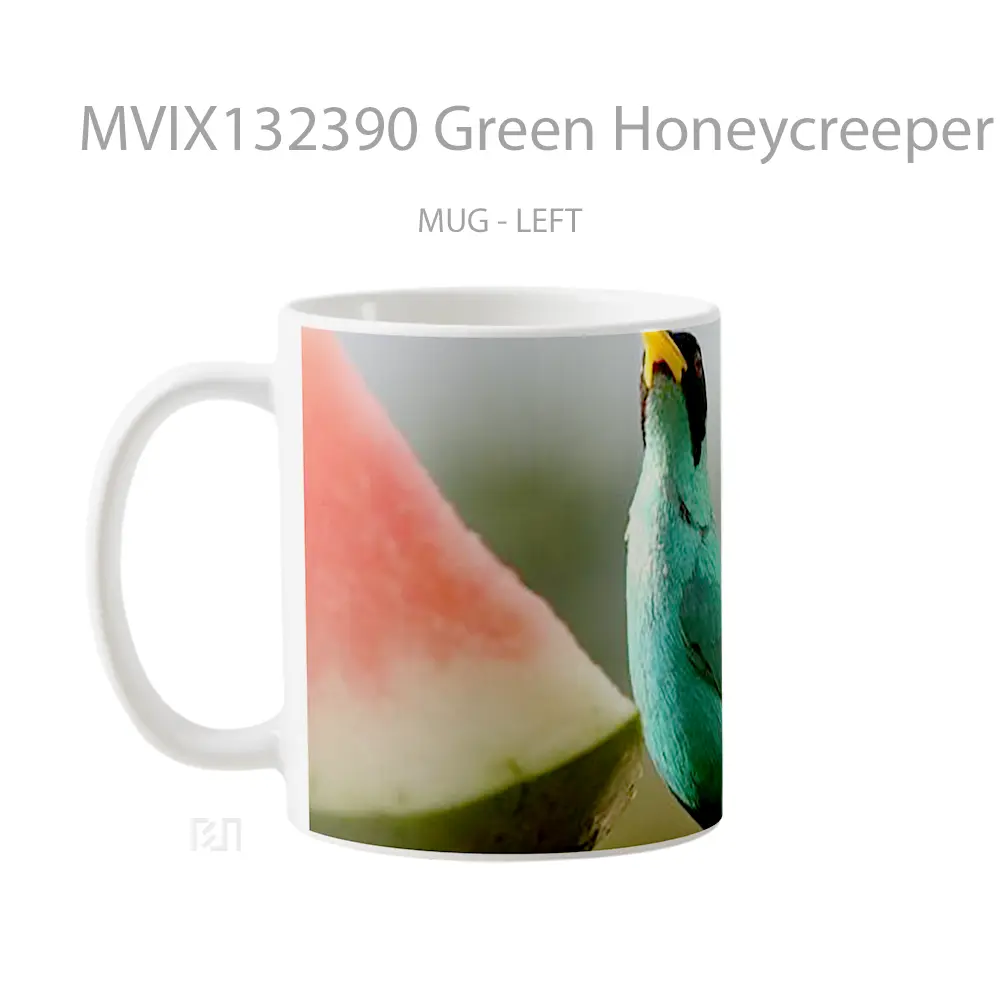Mug Green Honeycreeper Bird Gelas Hewan Lucu - All-side / Desain