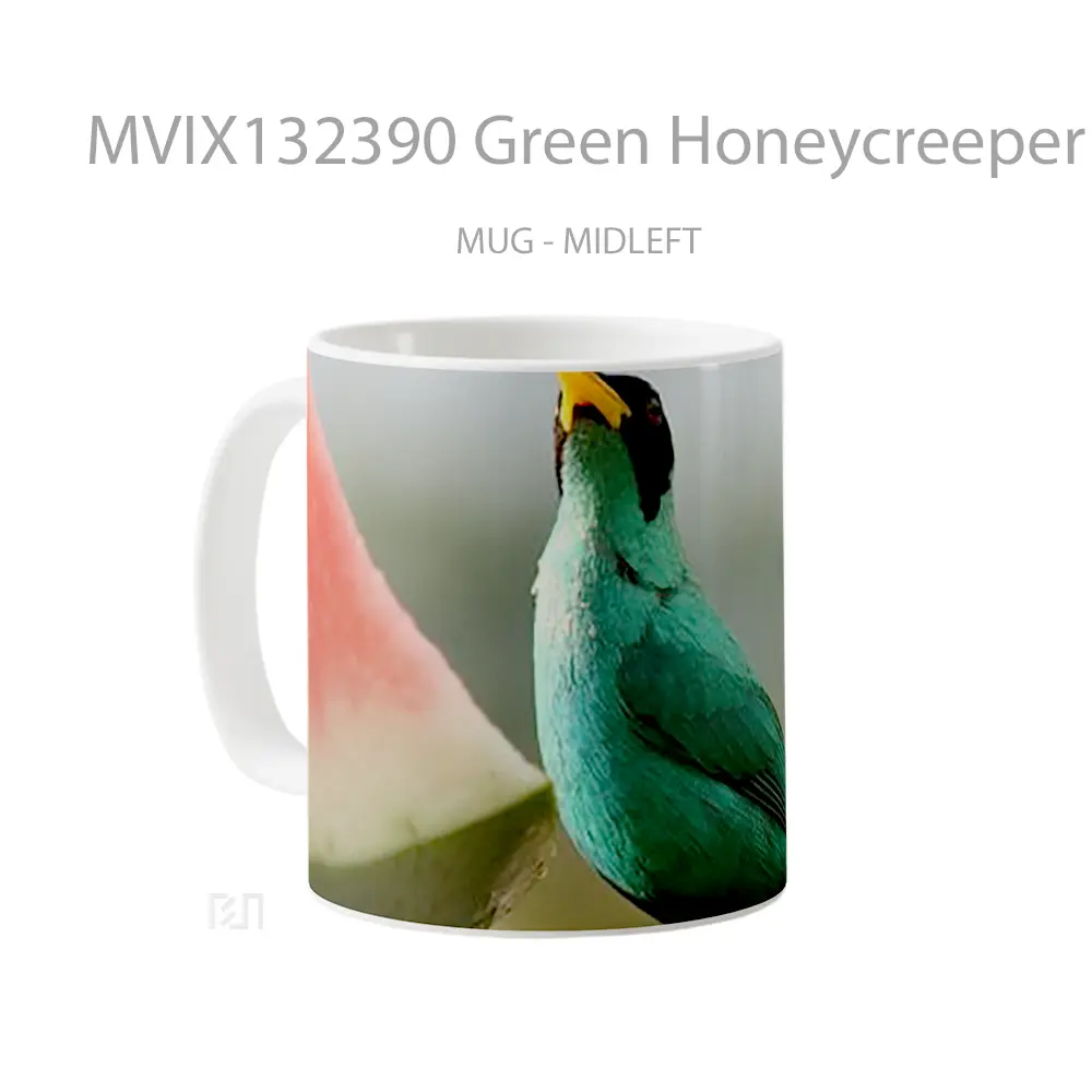 Mug Green Honeycreeper Bird Gelas Hewan Lucu - All-side / Desain