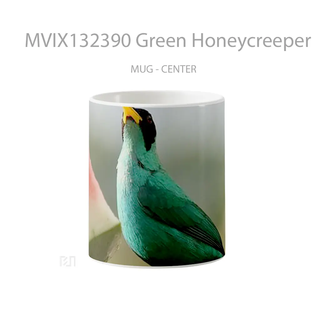 Mug Green Honeycreeper Bird Gelas Hewan Lucu