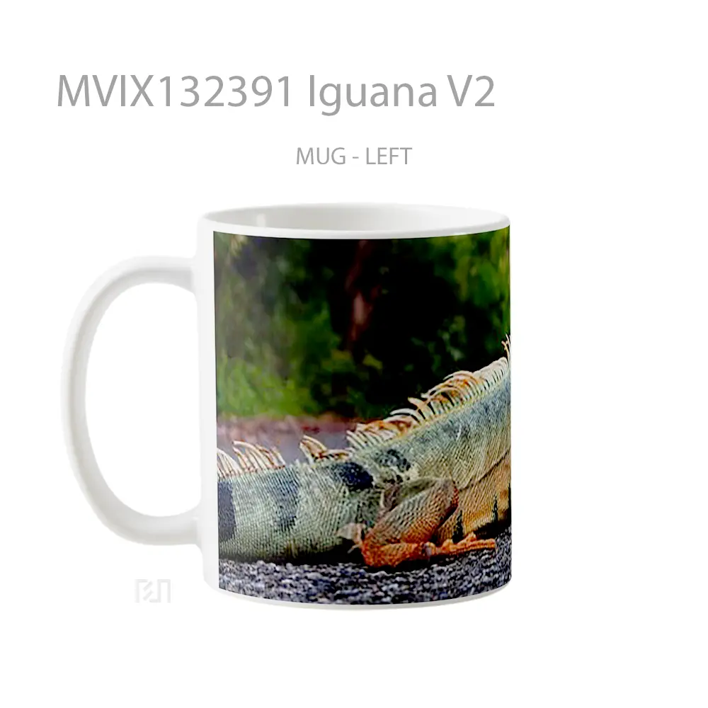 Mug Iguana V2 Gelas Keramik Unik - All-side / Desain