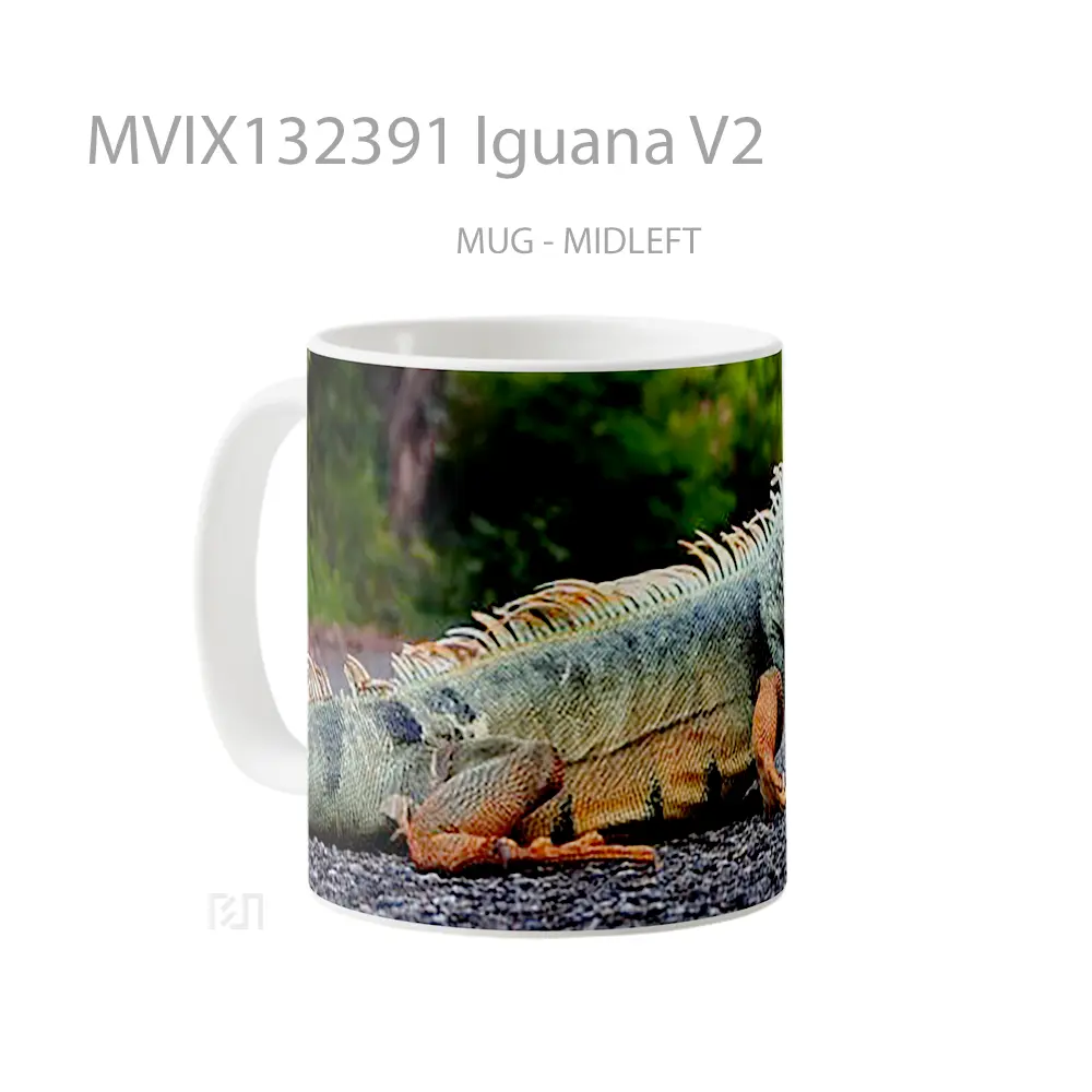 Mug Iguana V2 Gelas Keramik Unik - All-side / Desain