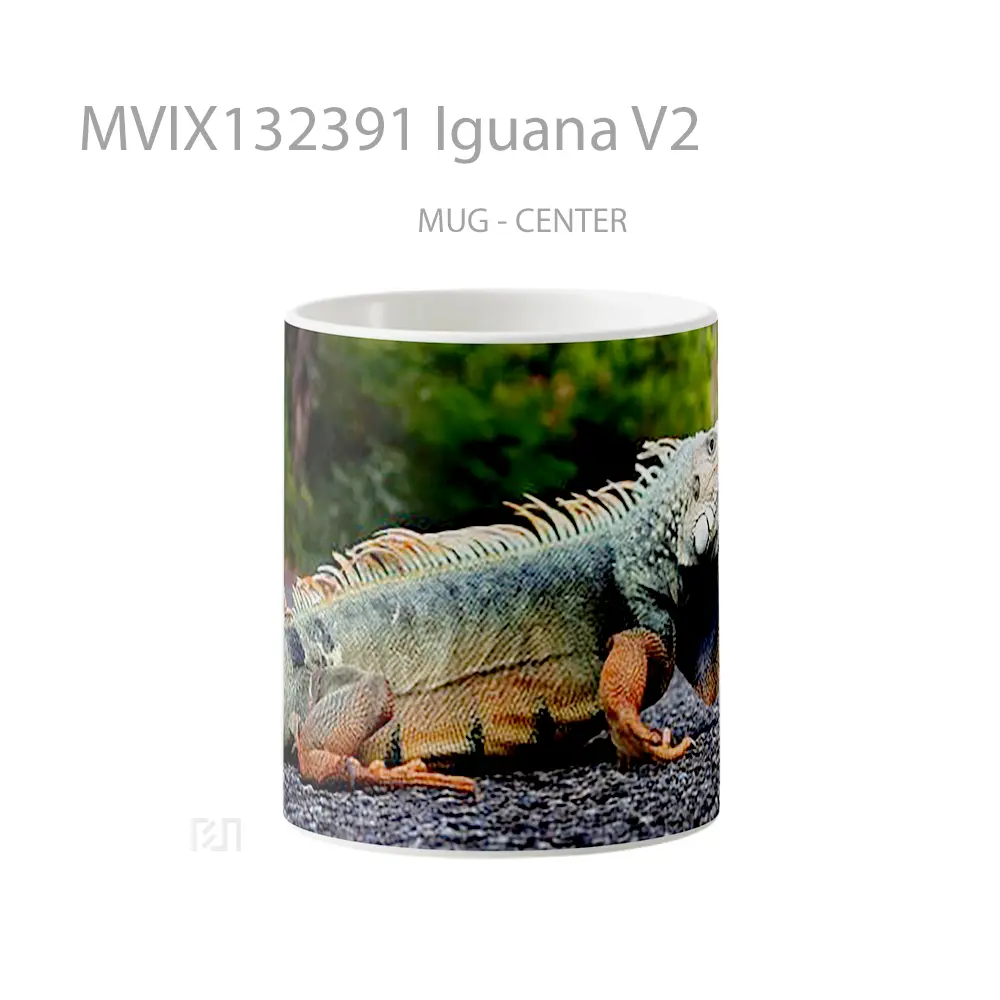 Mug Iguana V2 Gelas Keramik Unik