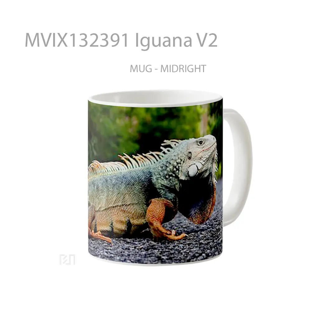Mug Iguana V2 Gelas Keramik Unik - All-side / Desain