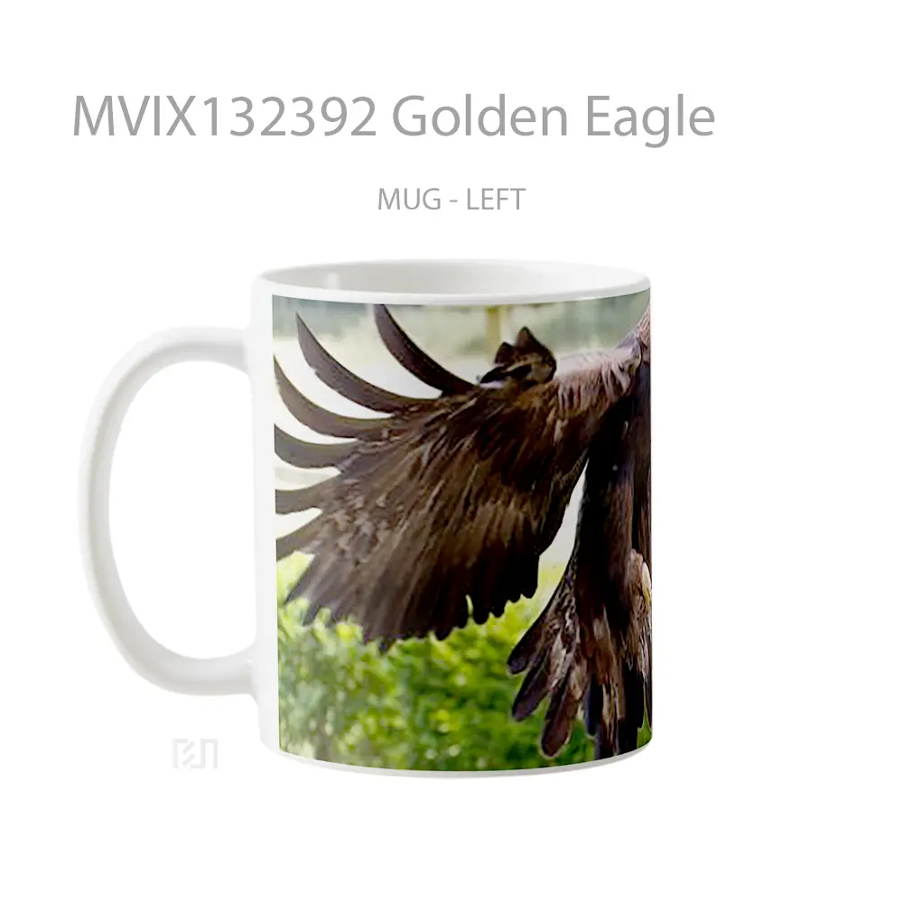 Mug Golden Eagle Gelas Hewan Lucu - All-side / Desain