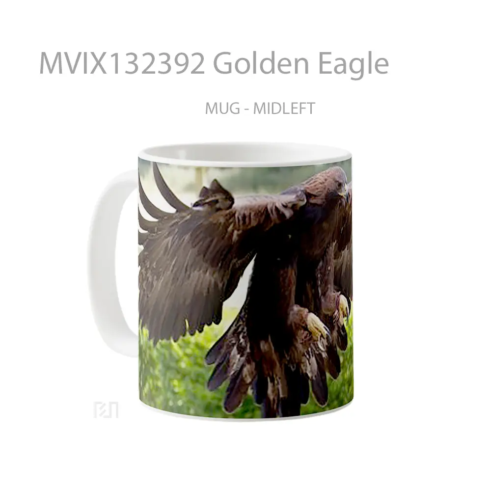 Mug Golden Eagle Gelas Hewan Lucu - All-side / Desain