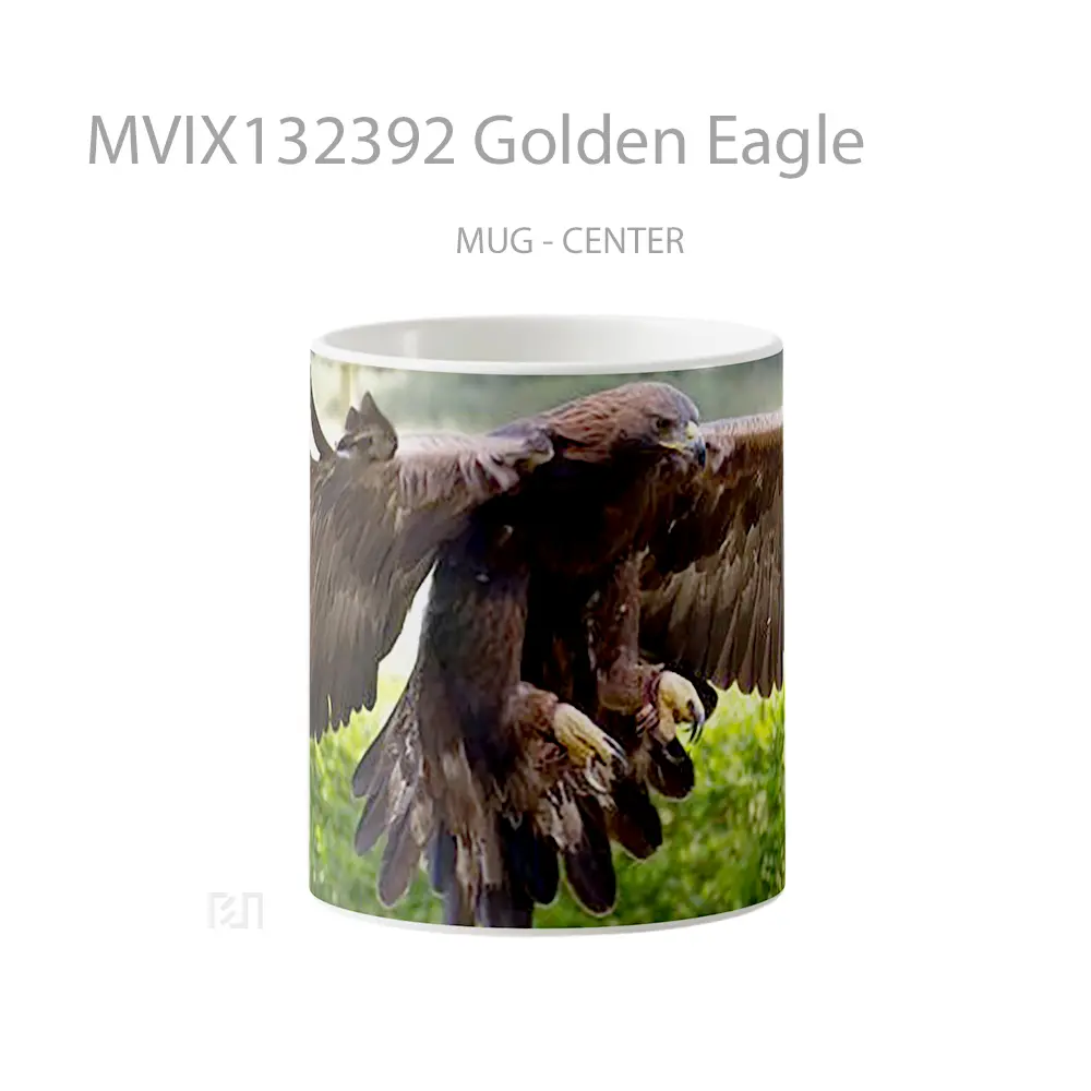 Mug Golden Eagle Gelas Hewan Lucu