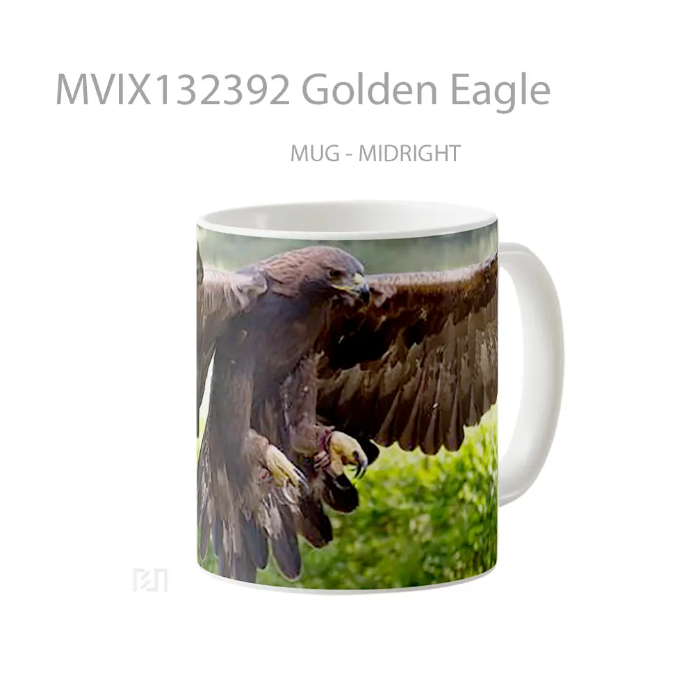 Mug Golden Eagle Gelas Hewan Lucu - All-side / Desain