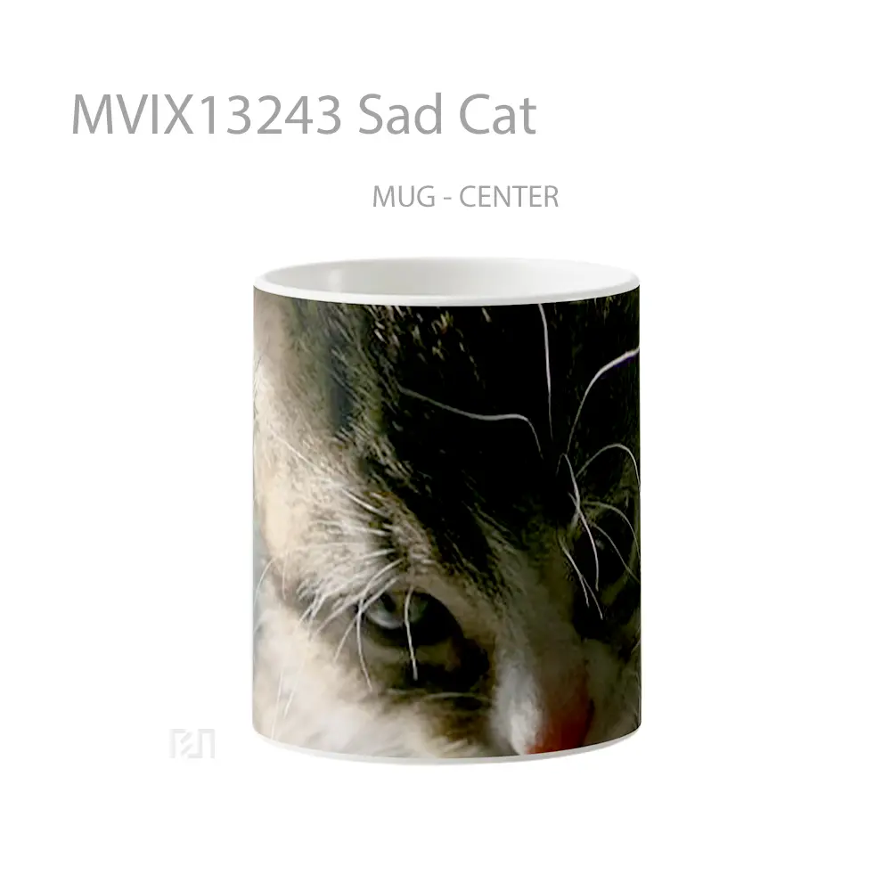Mug Sad Cat Gelas Hewan Lucu