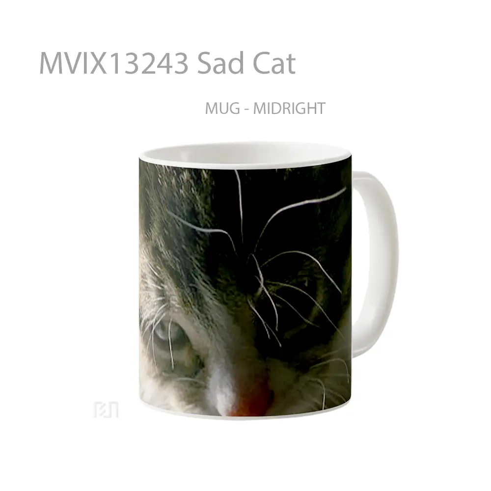 Mug Sad Cat Gelas Hewan Lucu - All-side / Desain
