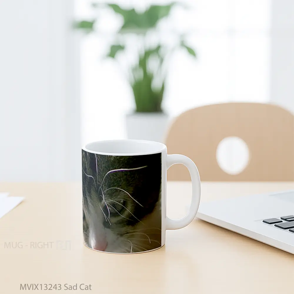 Mug Sad Cat Gelas Hewan Lucu - All-side / Desain