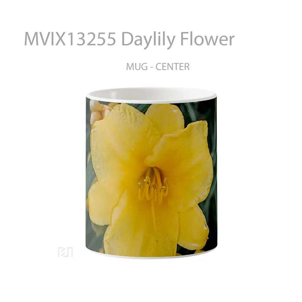 Mug Daylily Flower Gelas Pemandangan Alam