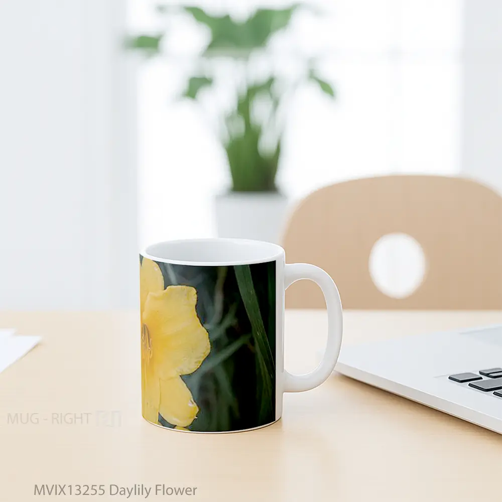 Mug Daylily Flower Gelas Pemandangan Alam - All-side / Desain