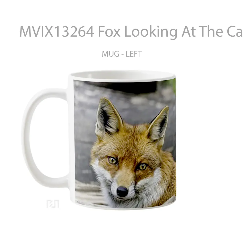Mug Fox Looking At The Camera Gelas Hewan Lucu - All-side / Desain