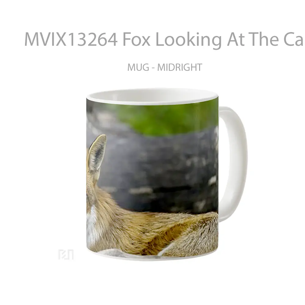 Mug Fox Looking At The Camera Gelas Hewan Lucu - All-side / Desain