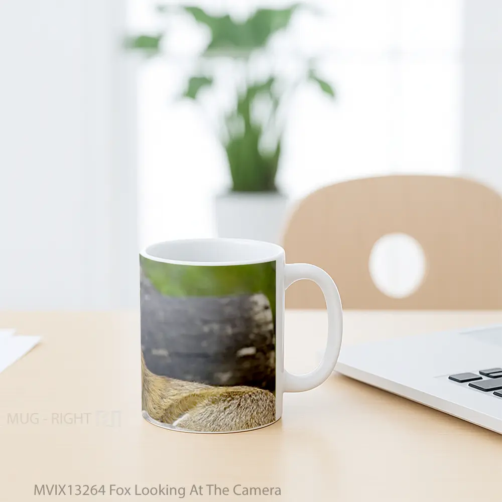 Mug Fox Looking At The Camera Gelas Hewan Lucu - All-side / Desain