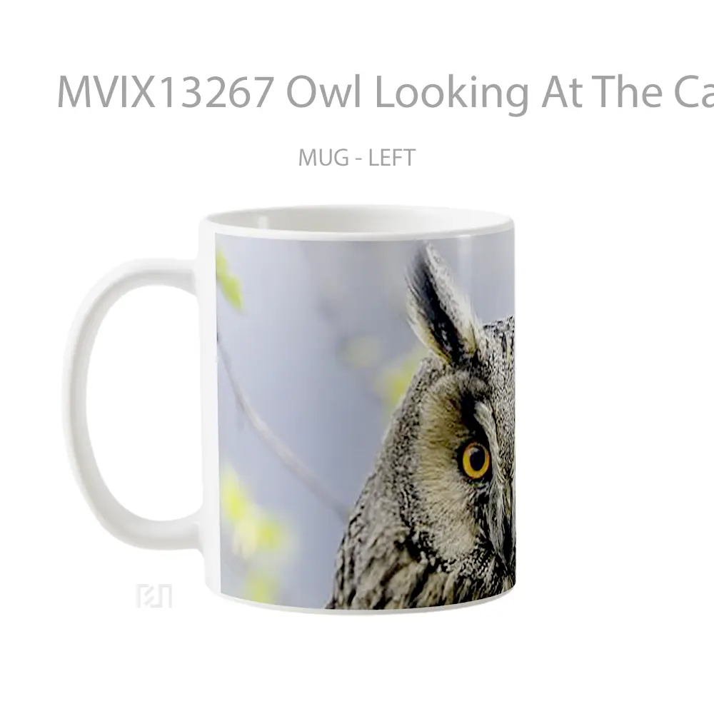 Mug Owl Looking At The Camera Gelas Hewan Lucu - All-side / Desain
