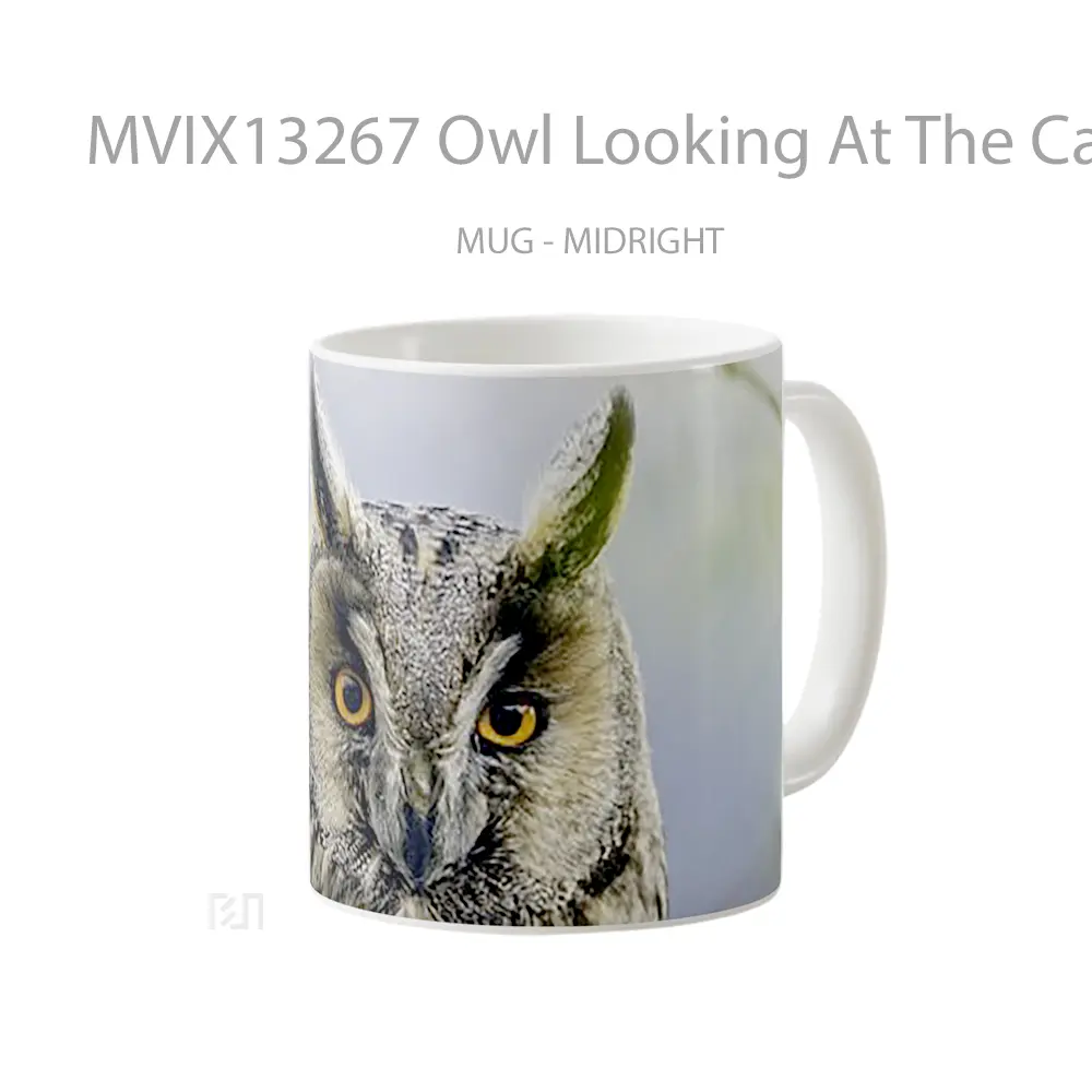 Mug Owl Looking At The Camera Gelas Hewan Lucu - All-side / Desain