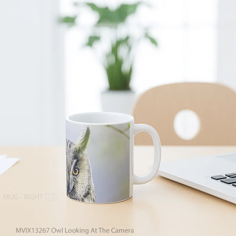 Mug Owl Looking At The Camera Gelas Hewan Lucu - All-side / Desain