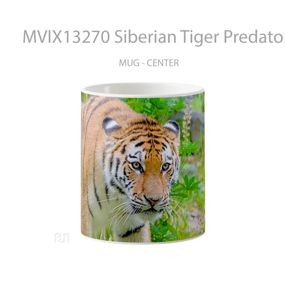 Mug Siberian Tiger Predator Gelas Hewan Lucu
