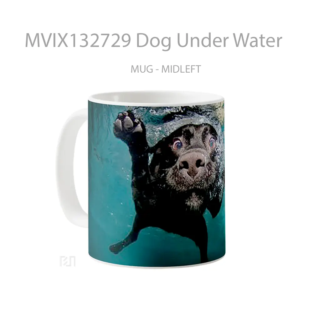 Mug Dog Under Water Gelas Hewan Lucu - All-side / Desain