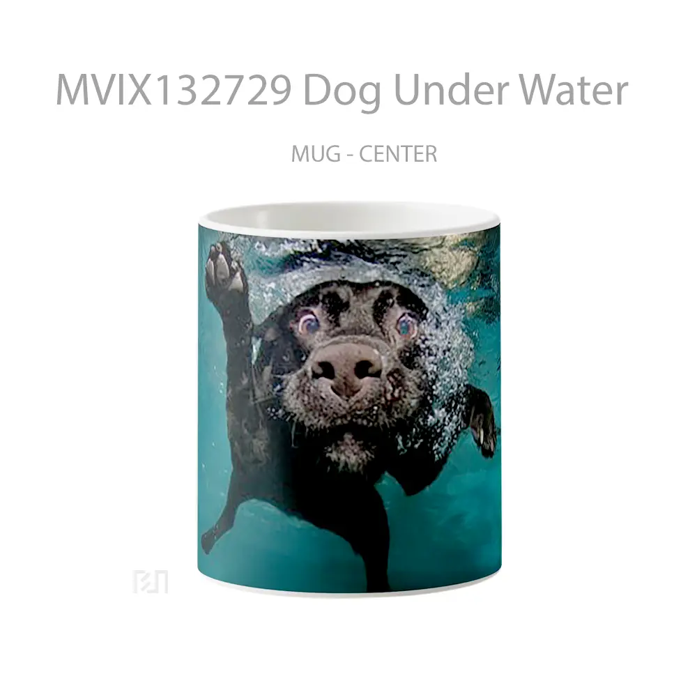 Mug Dog Under Water Gelas Hewan Lucu
