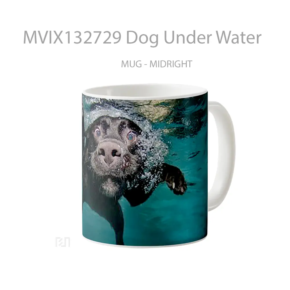 Mug Dog Under Water Gelas Hewan Lucu - All-side / Desain