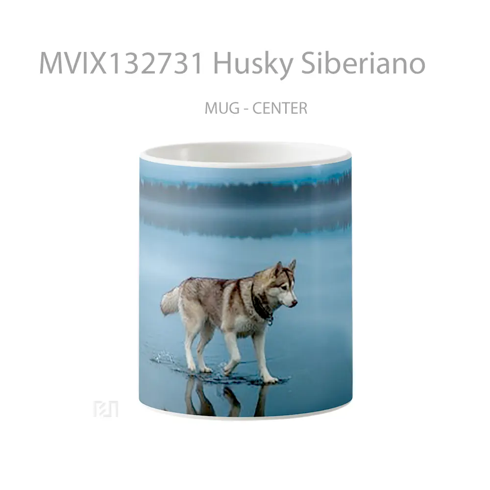 Mug Husky Siberiano Gelas Keramik Unik