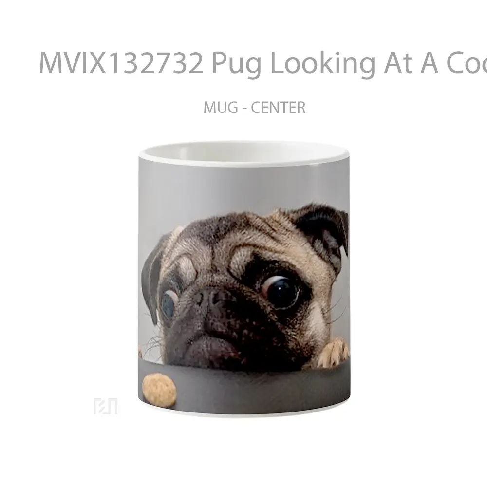 Mug Pug Looking At A Cookie Gelas Keramik Unik