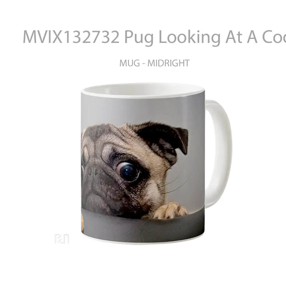 Mug Pug Looking At A Cookie Gelas Keramik Unik - All-side / Desain
